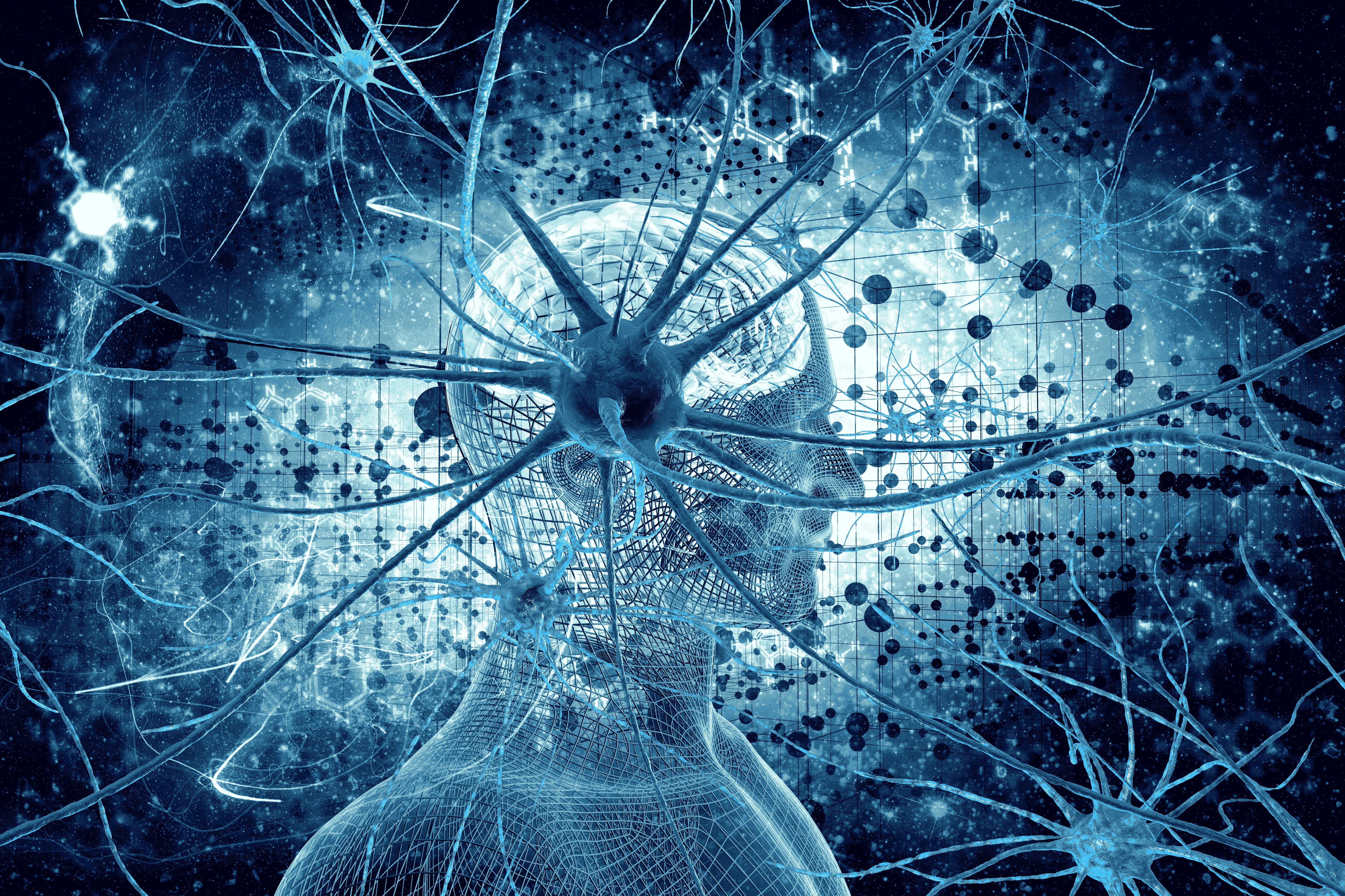 profil_neurones