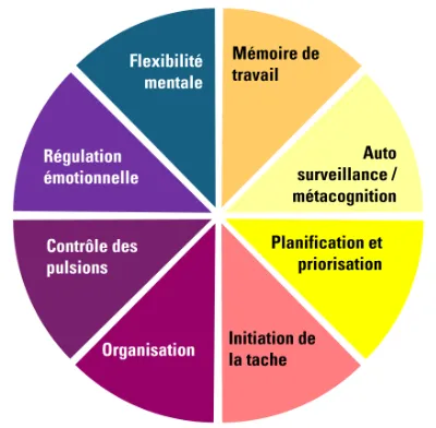 Fonctions Exécutives - TDAH